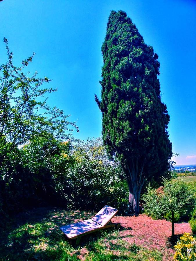 Galluzzo Ancient Country Villa 카살레키노 디 레노 외부 사진