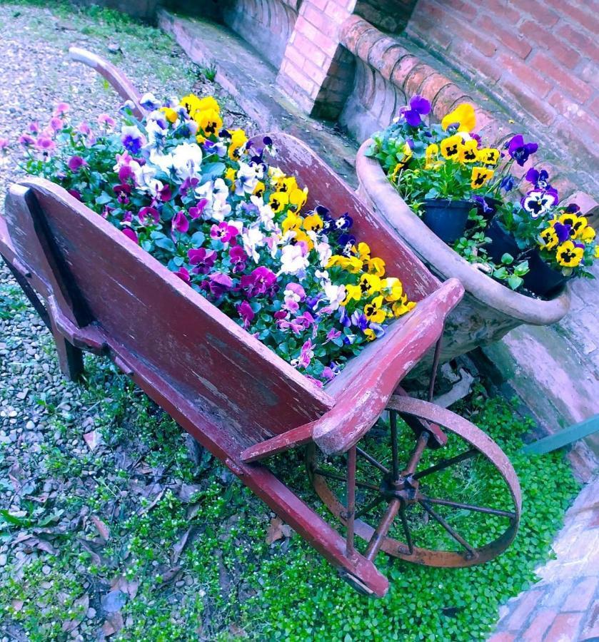 Galluzzo Ancient Country Villa 카살레키노 디 레노 외부 사진
